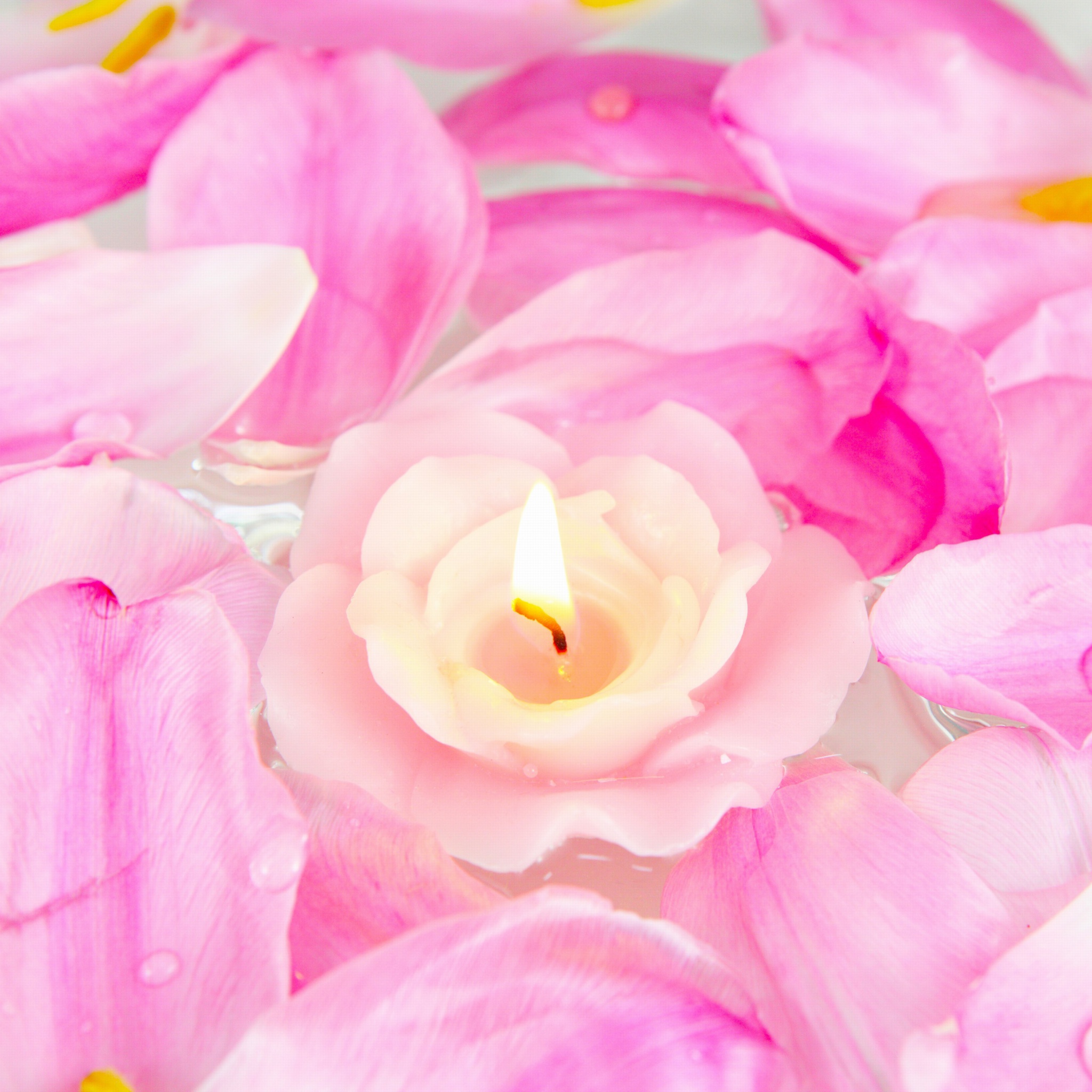 Candle on lotus petals wallpaper 2048x2048