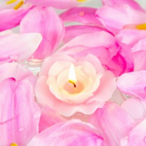 Candle on lotus petals wallpaper 208x208