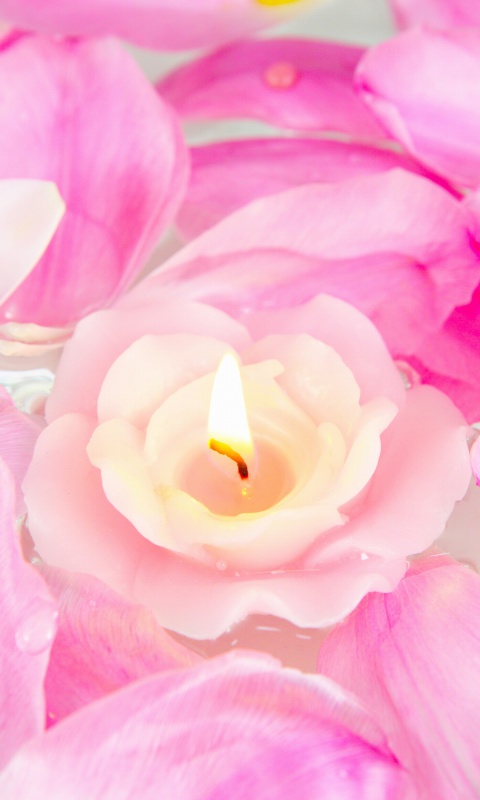Обои Candle on lotus petals 480x800