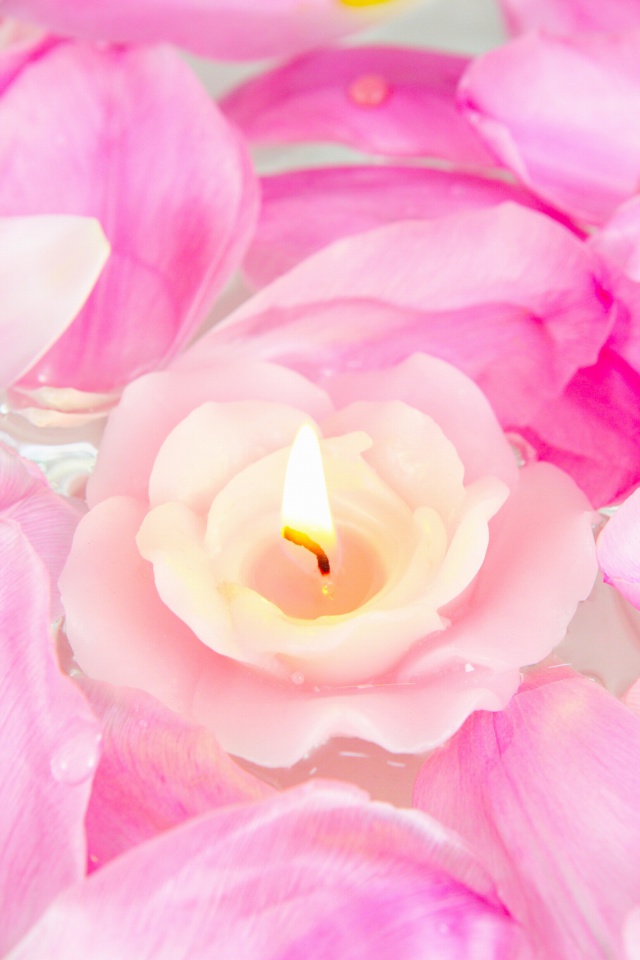 Candle on lotus petals wallpaper 640x960
