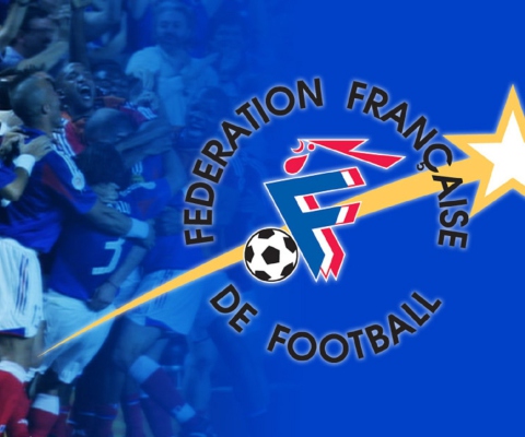 Das Federacion Futbol De France Wallpaper 480x400