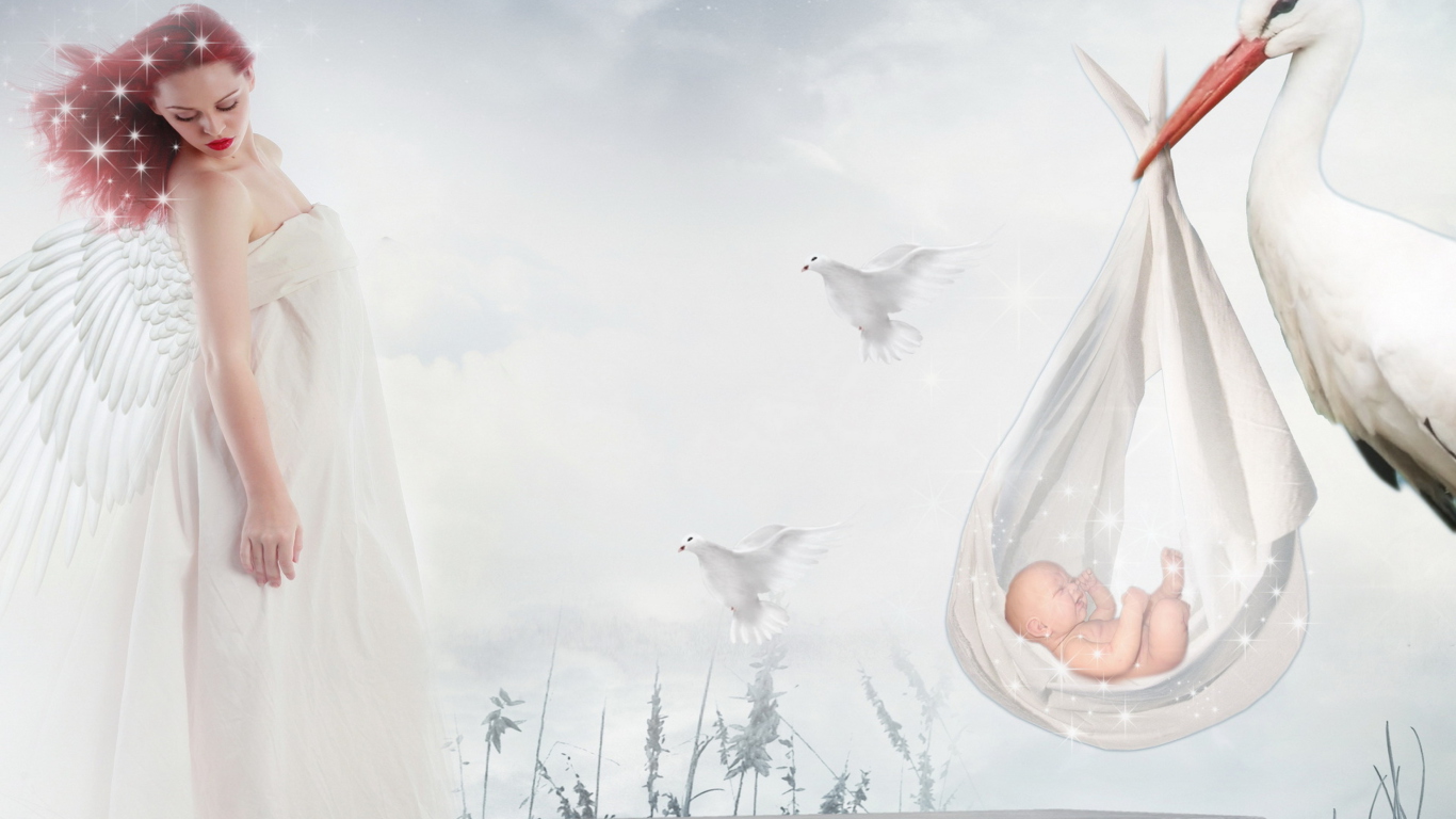 Das Where Babies Come From Wallpaper 1366x768
