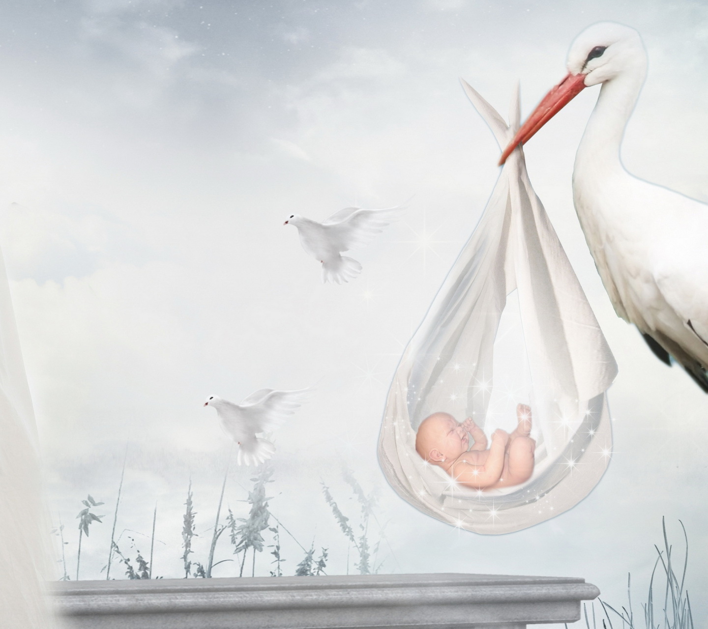 Das Where Babies Come From Wallpaper 1440x1280