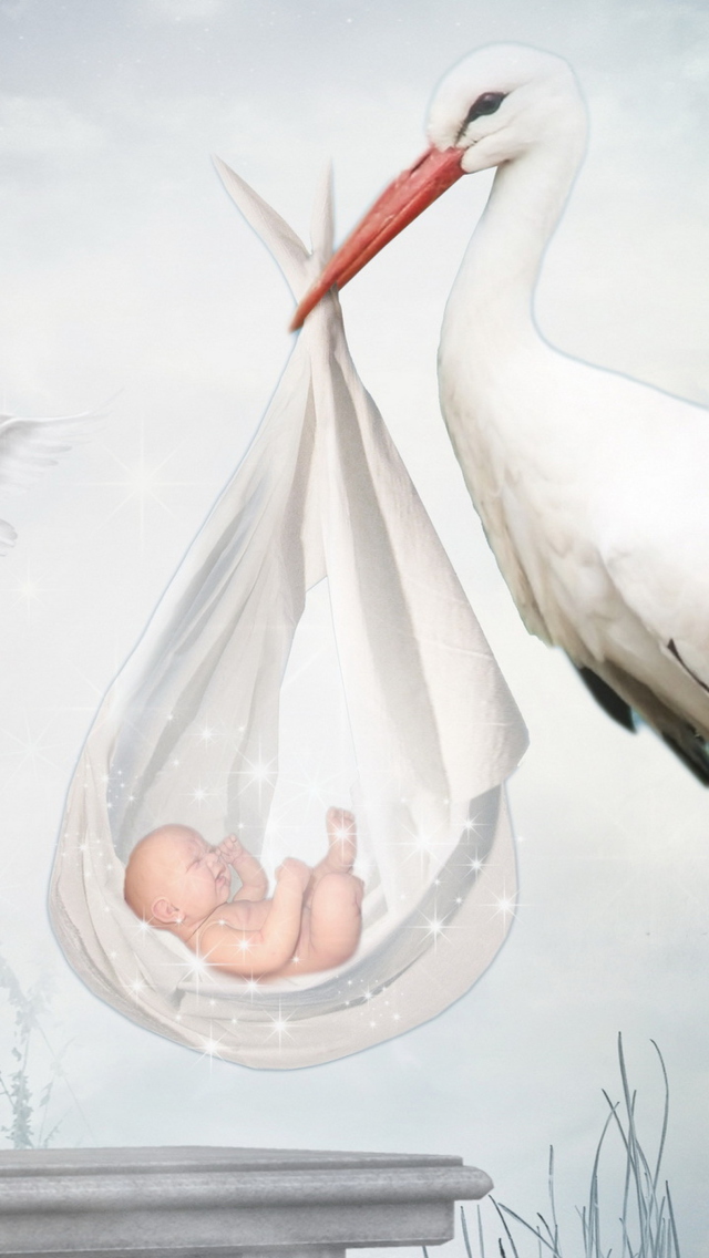 Where Babies Come From wallpaper 640x1136