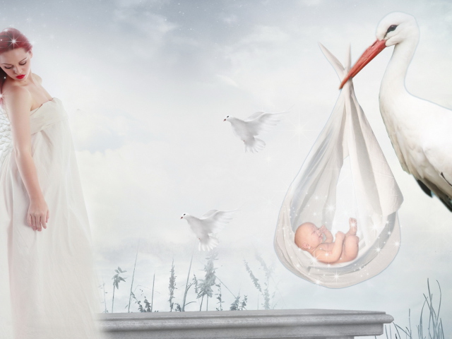 Das Where Babies Come From Wallpaper 640x480