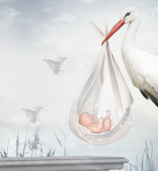 Kostenloses Where Babies Come From Wallpaper für Samsung E1150