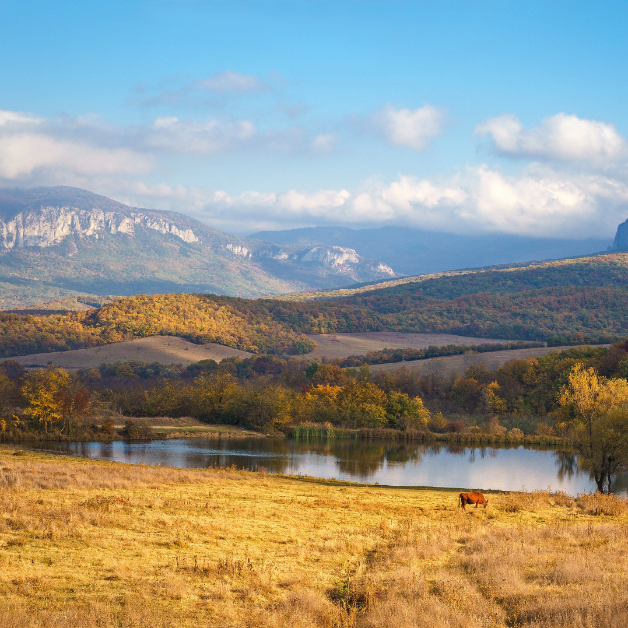 Sfondi River tranquility countryside 2048x2048