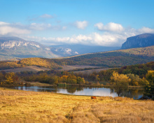 Das River tranquility countryside Wallpaper 220x176