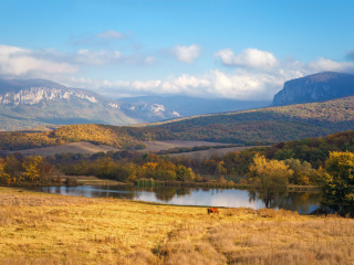 Sfondi River tranquility countryside 320x240