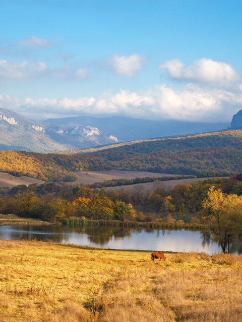 River tranquility countryside wallpaper 480x640