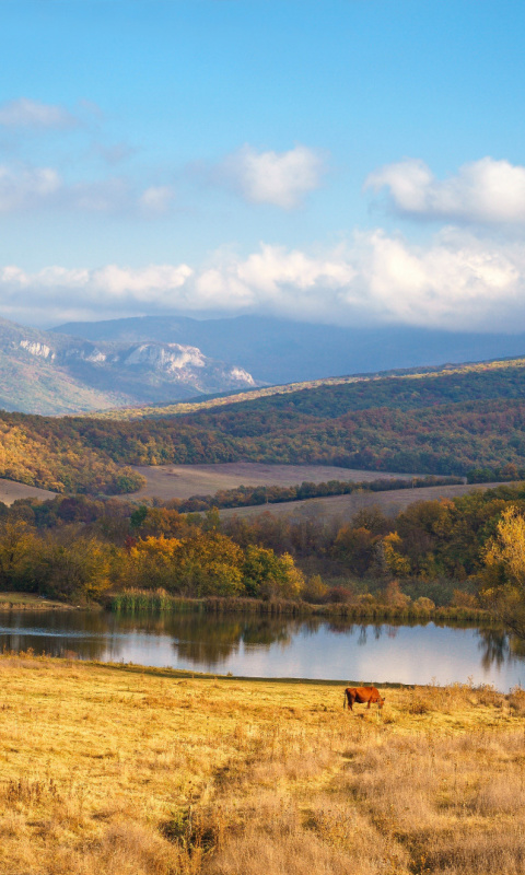 Sfondi River tranquility countryside 480x800