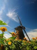 Sfondi Mill In Sunflower Field 132x176