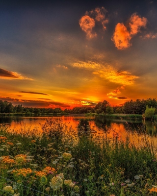 Beauty of Romanian landscapes Wallpaper for 240x320