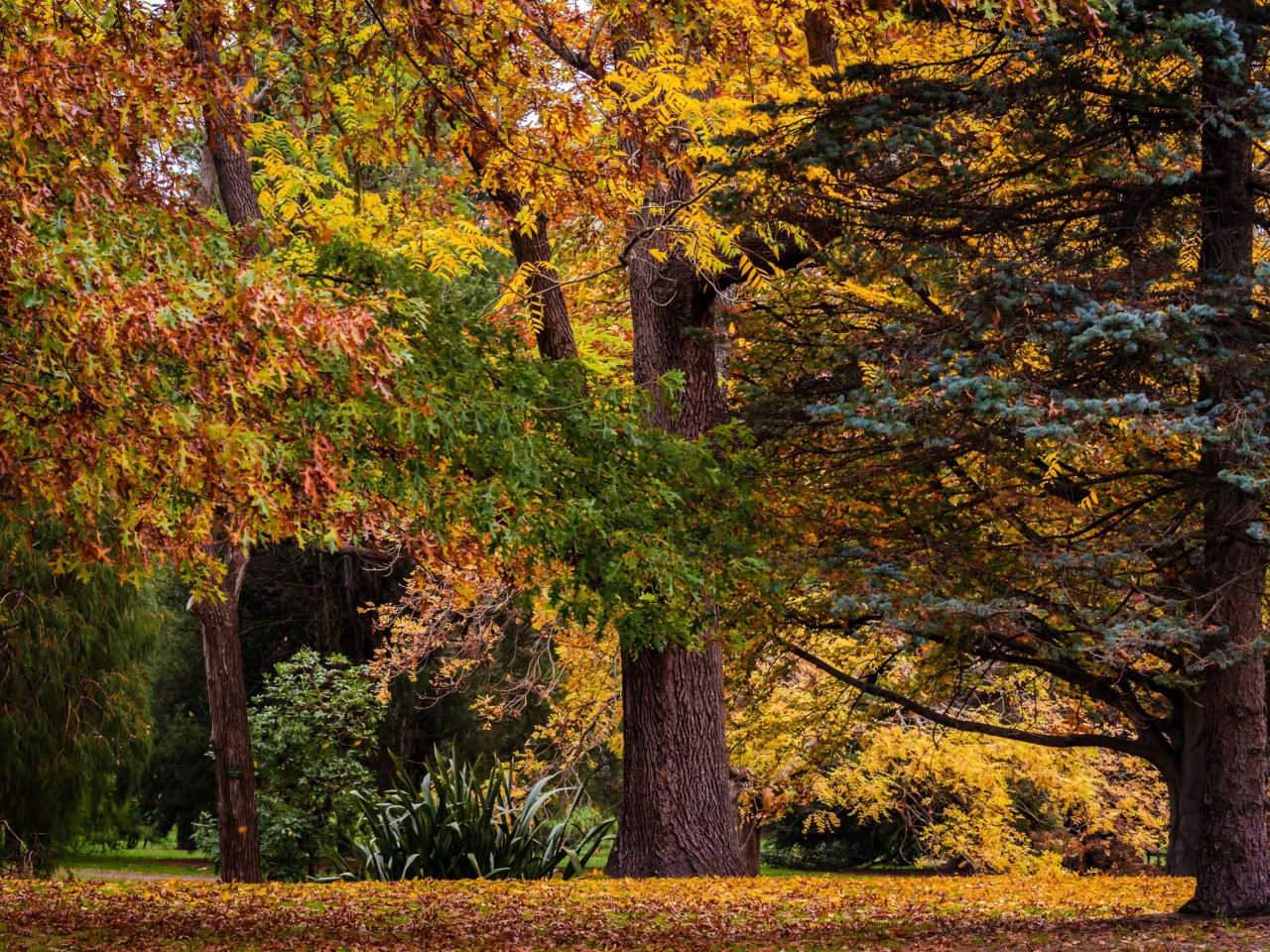 Das Australian National Botanic Gardens Wallpaper 1280x960