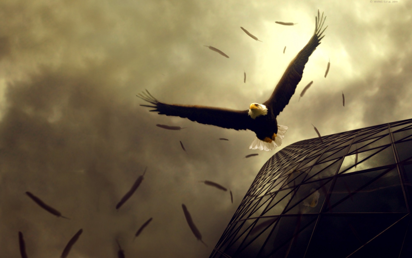 Das Eagle Flight Wallpaper 1440x900