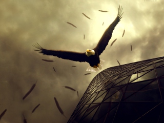 Eagle Flight wallpaper 320x240