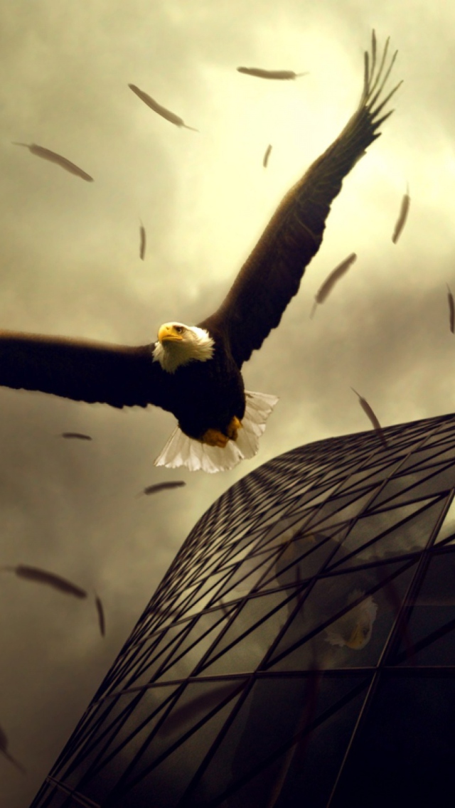 Das Eagle Flight Wallpaper 640x1136