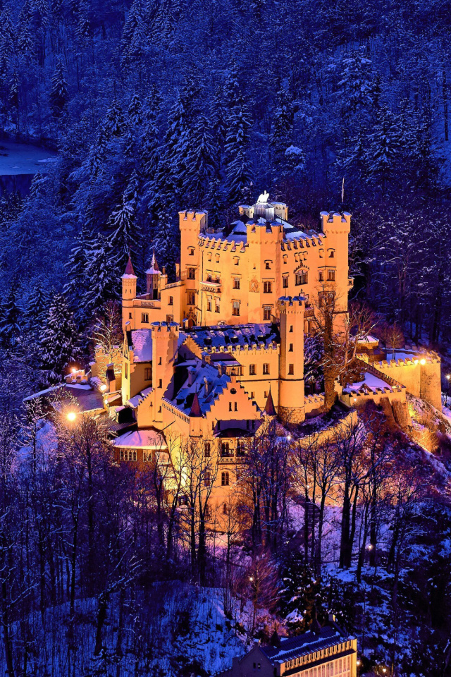 Fondo de pantalla Hohenschwangau Castle 640x960