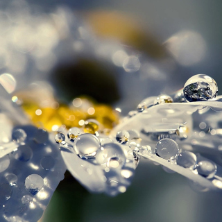 Kostenloses Raindrops HD Macro Wallpaper für iPad Air