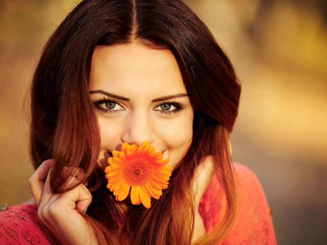 Brunette Cutie With Orange Daisy wallpaper 640x480