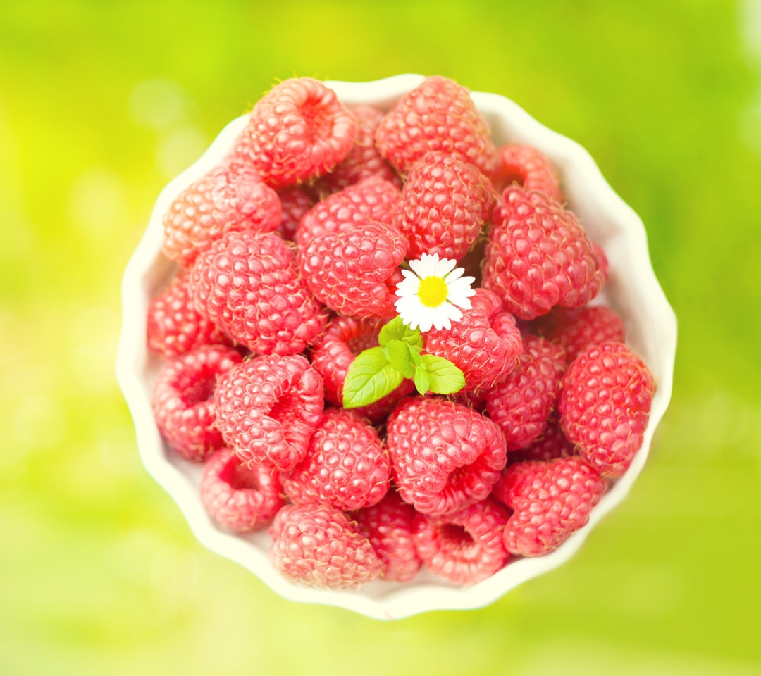 Raspberries And Daisy screenshot #1 1080x960