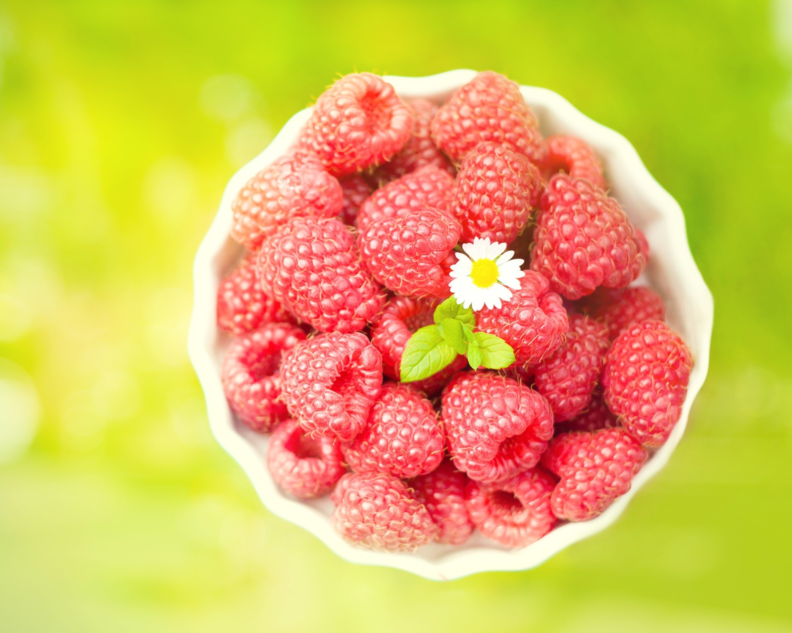 Raspberries And Daisy screenshot #1 1600x1280