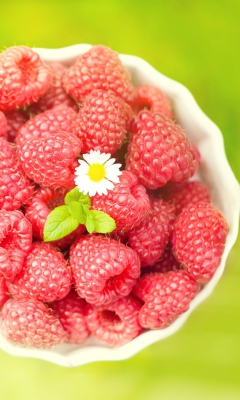 Raspberries And Daisy wallpaper 240x400