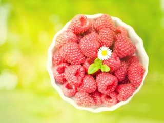 Raspberries And Daisy wallpaper 320x240