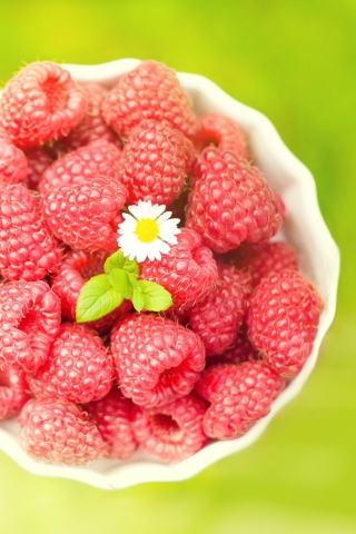 Raspberries And Daisy screenshot #1 320x480