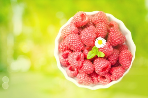 Raspberries And Daisy screenshot #1 480x320