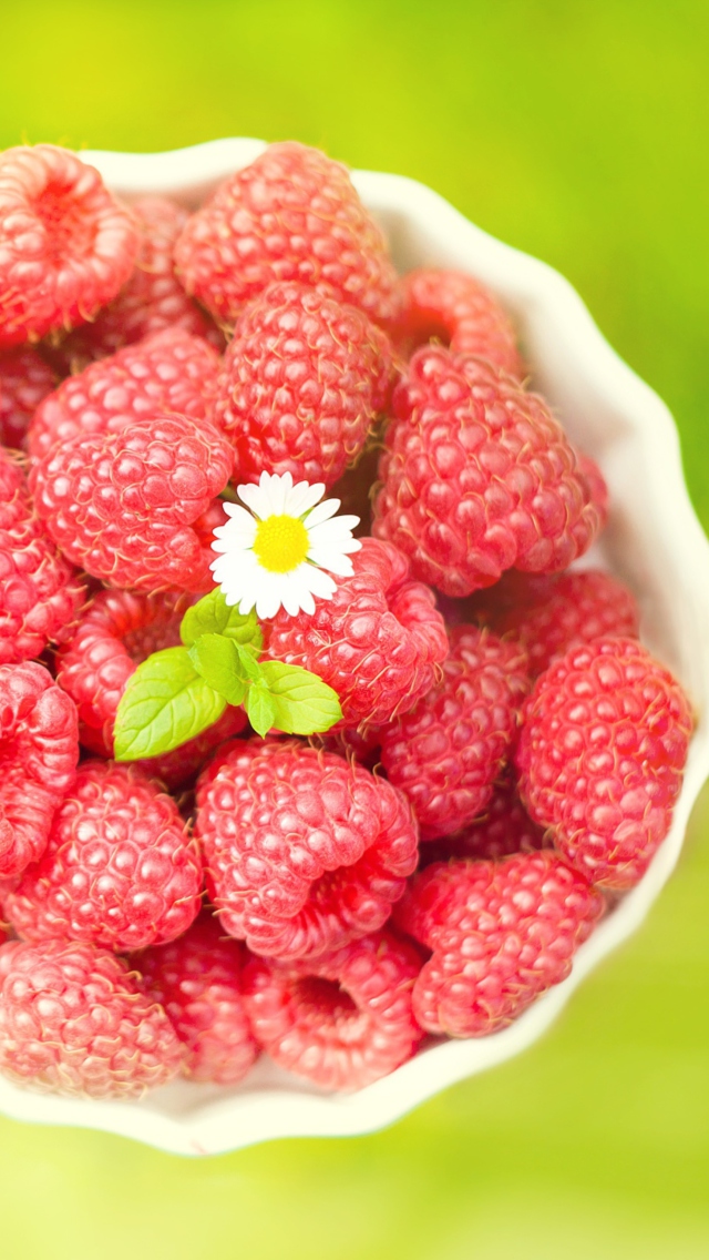 Raspberries And Daisy wallpaper 640x1136