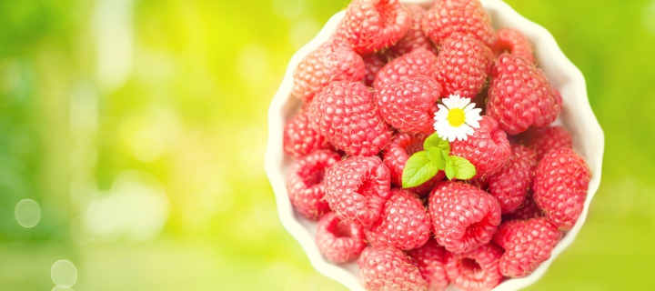 Das Raspberries And Daisy Wallpaper 720x320