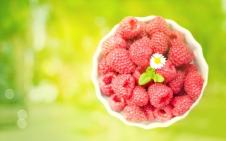 Raspberries And Daisy Background for Android, iPhone and iPad