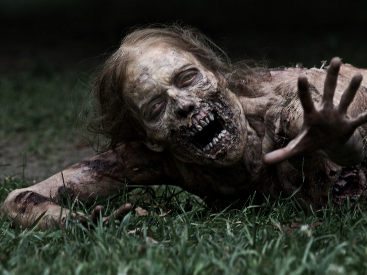 The Walking Dead screenshot #1 1280x960