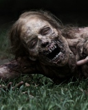 The Walking Dead screenshot #1 128x160