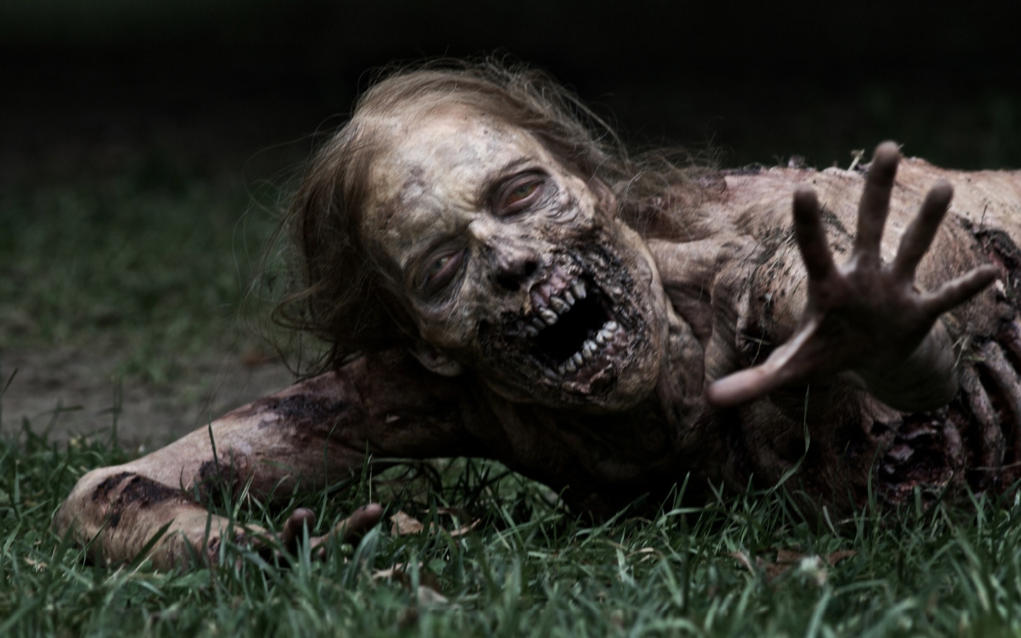 Fondo de pantalla The Walking Dead 1440x900