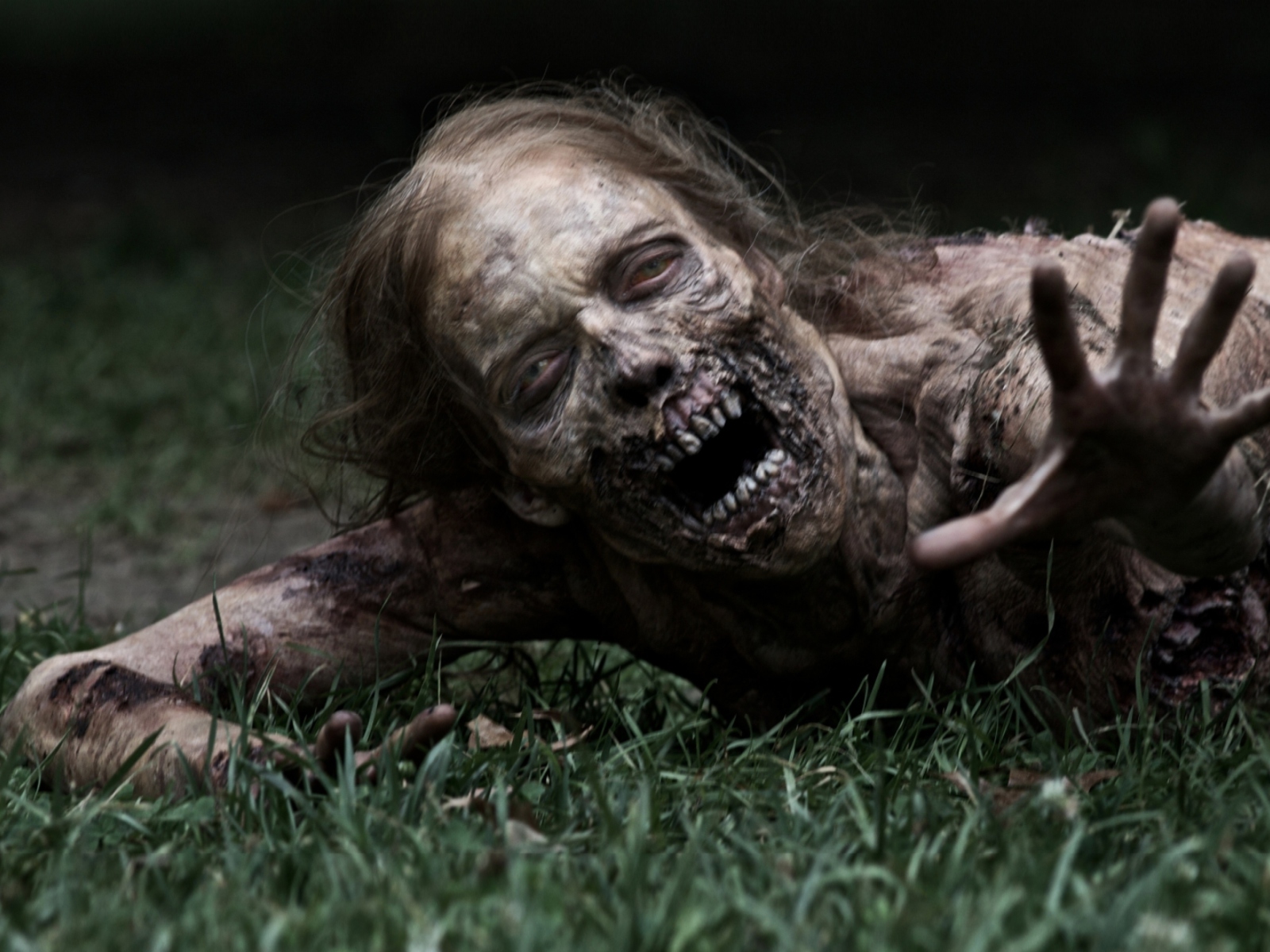 Sfondi The Walking Dead 1600x1200