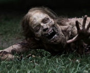 Fondo de pantalla The Walking Dead 176x144