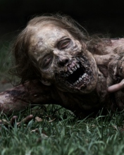 The Walking Dead screenshot #1 176x220