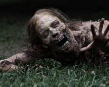 Sfondi The Walking Dead 220x176