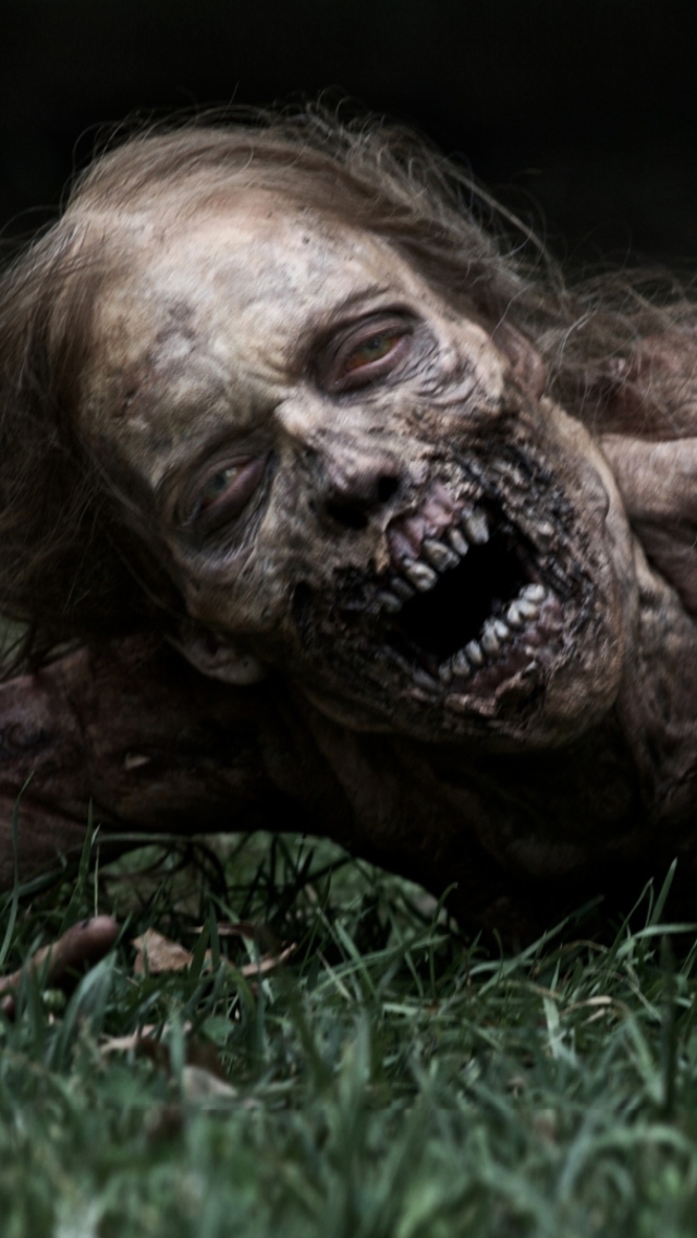 Fondo de pantalla The Walking Dead 640x1136