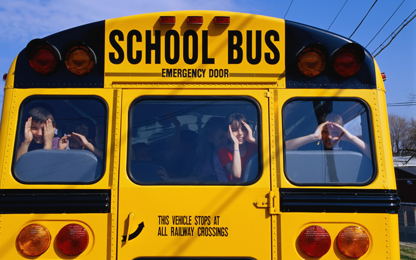 Screenshot №1 pro téma School Bus 1440x900