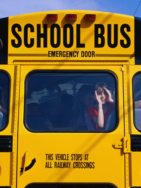 School Bus wallpaper 480x640