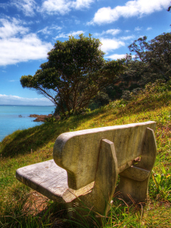 Lonely Bench wallpaper 240x320