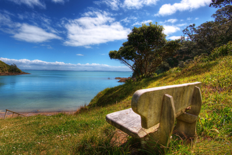 Lonely Bench wallpaper 480x320