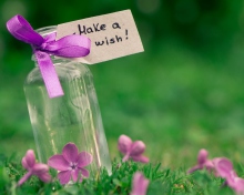 Make A Wish wallpaper 220x176
