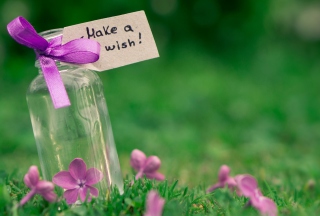 Make A Wish sfondi gratuiti per cellulari Android, iPhone, iPad e desktop