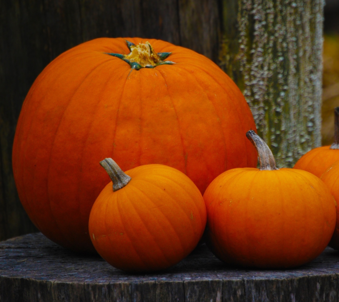 Das Orange Pumpkins Wallpaper 1080x960