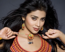 Обои Shriya Saran Actress 220x176
