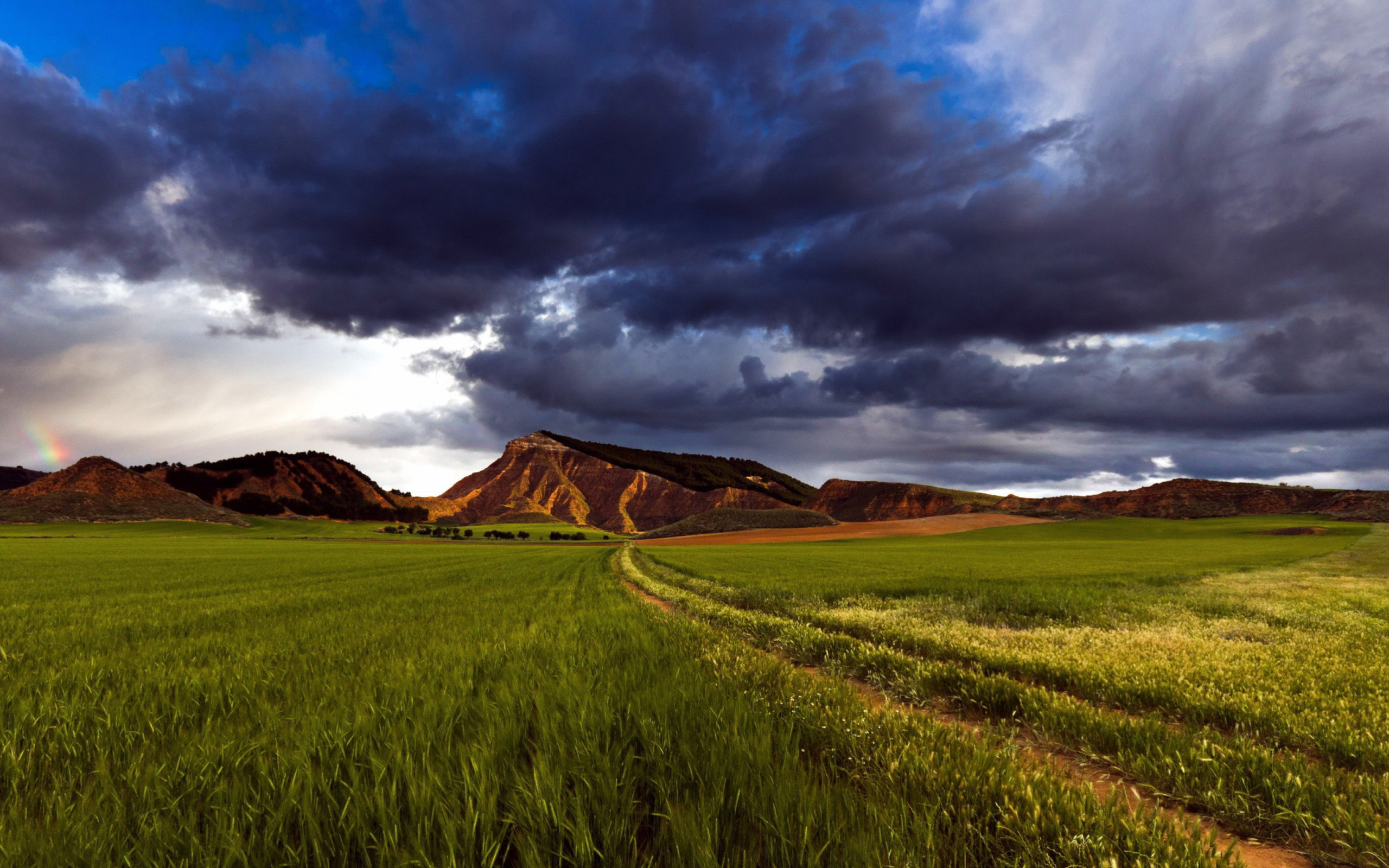 Das Field and Sky Wallpaper 2560x1600